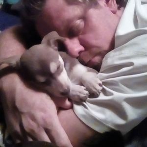 Meet your Posher, Thomas